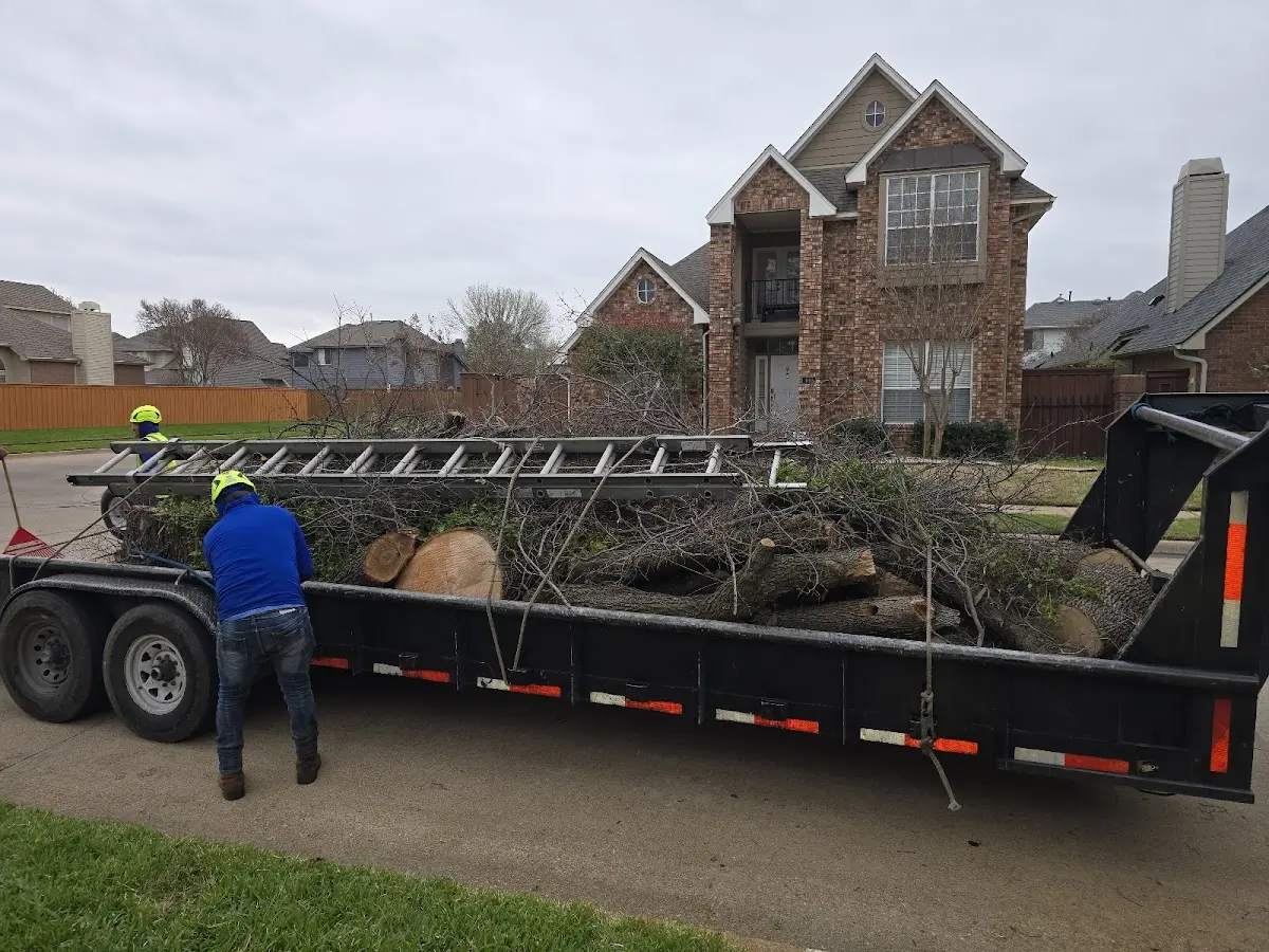 Expert Crown Reduction with proper safety equipment in Fort Recovery